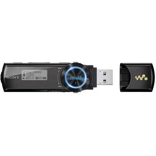 Sony NWZ-B172 2GB USB Walkman Siyah