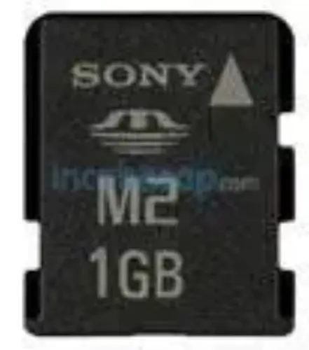 SONY 1 GB MSA-1GW MICRO MEMORY STICK