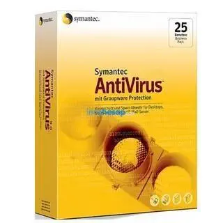NORTON ANTIVIRUS GROUPWARE PRO 10.2(10 KULLANICI)
