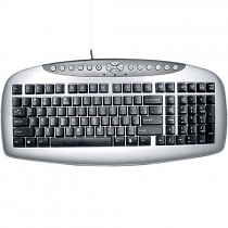 A4 Tech KB-21 USB Gümüş/Siyah F Klavye