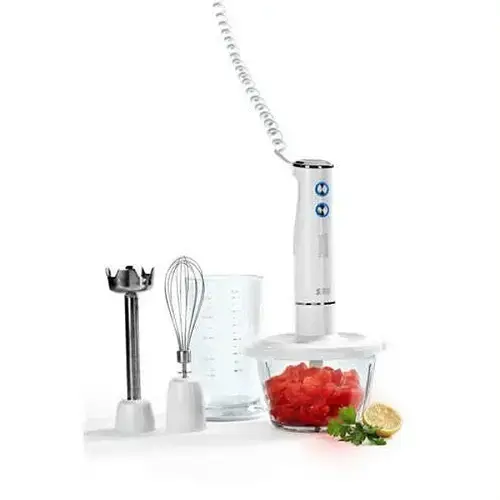 Homend 1908 S3 Blender Set 750W