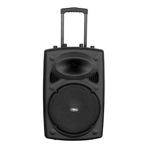 Frisby FS-4060P Dahili Bataryalı Aktif Ses Sistemi	