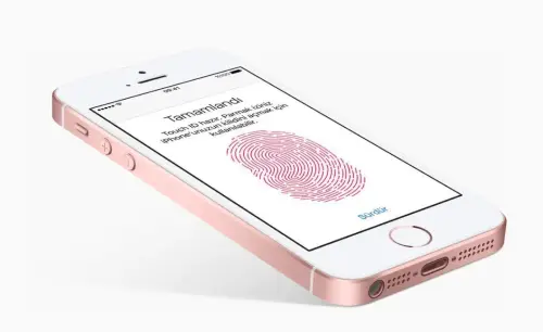 Apple Iphone SE 16GB Rose Gold Cep Telefonu - Apple Türkiye Garantili