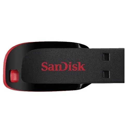 Sandisk 32GB Cruzer Blade SDCZ50-032G-B35 USB Flash Bellek