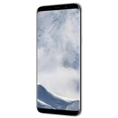 Samsung Galaxy S8 PLUS G955F 64GB Akıllı Telefon - Silver (Distribütör Garantili)