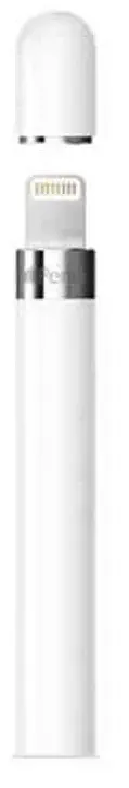 Apple 1. Nesil Tablet Kalemi MK0C2TU/A