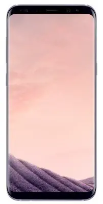 Samsung Galaxy S8 Plus G955 64 GB Orchid Gray Dual Sim Cep Telefonu İthalat Garantili