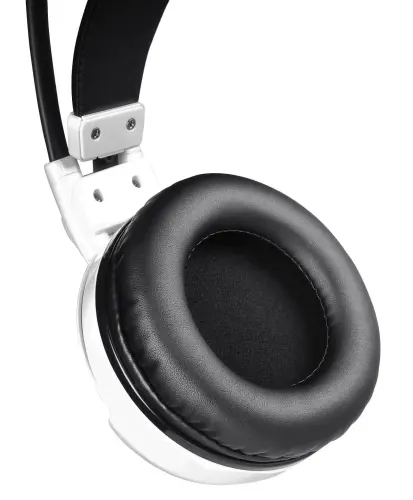 GamePower Slark Gaming Kulaklık Neodimyum 50mm Sürücüler 113dB Hassas Mikrofon -43dB RGB LED Aydınlatmalı USB ve 3.5mm Bağlantı