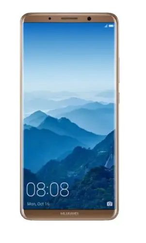 Huawei Mate 10 Pro 128 GB Kahverengi Cep Telefonu İthalatçı Firma Garantili