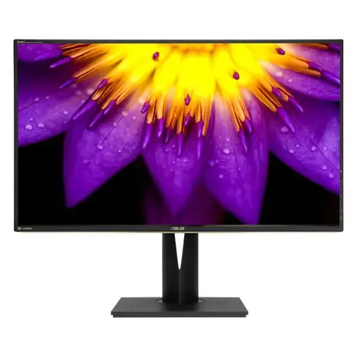 Asus ProArt PA329Q 32” 5ms 4K UHD (3840x2160) IPS Monitör