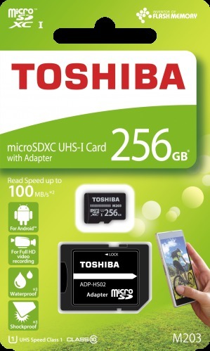 Kioxia Exceria THN-M203K2560EA 256GB 100MB/s Class 10 Micro SDHC Hafıza Kartı