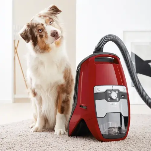 Miele Blizzard CX1 Cat&Dog PowerLine 890W Toz Torbasız Kırmızı Elektrikli Süpürge - SKCF3