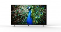 Sunny Woon WN49DIL1723 49 inç 124 Ekran Smart Full HD Uydulu LED TV