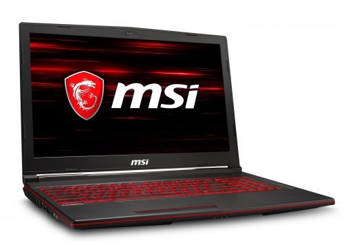 MSI GL63 9SC-201XTR i5-9300H 2.40GHz 8GB 256GB SSD 4GB GeForce GTX 1650 15.6″ Full HD FreeDOS Gaming Notebook