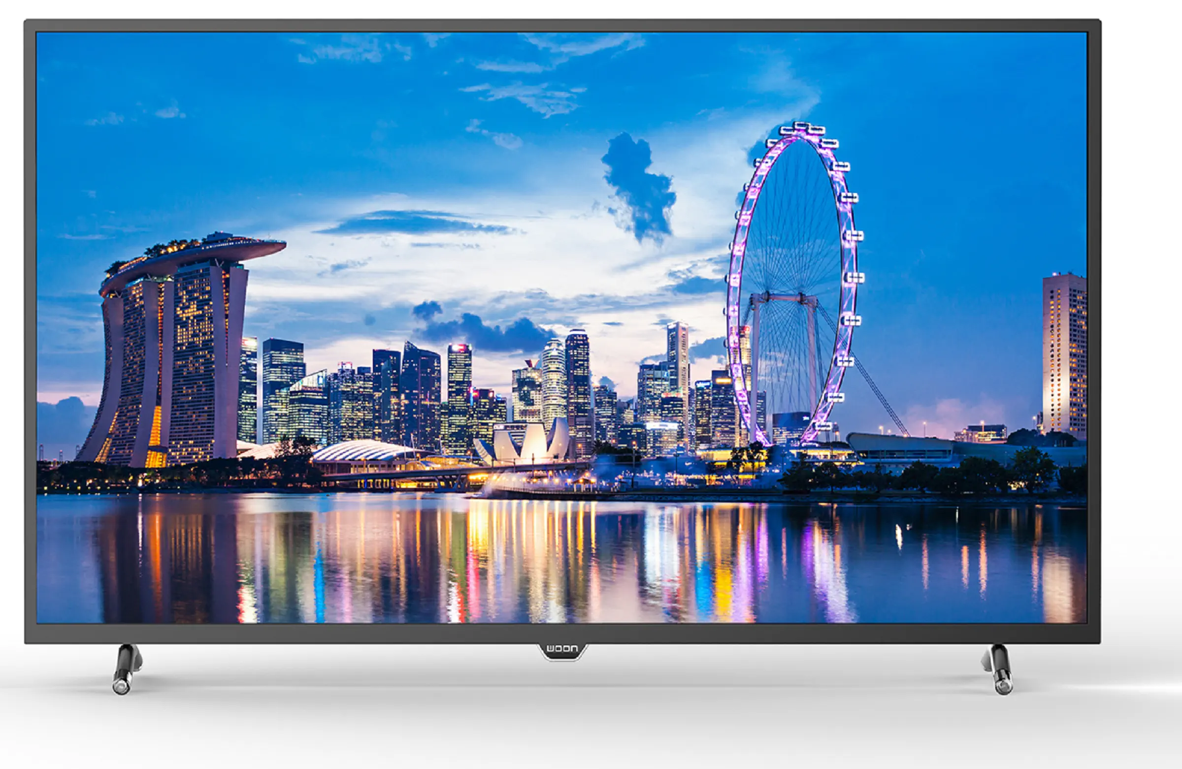 Sunny Woon WN49DLK08 49 inç 124 Ekran  Full HD Dahili Uydu Alıcılı LED Tv