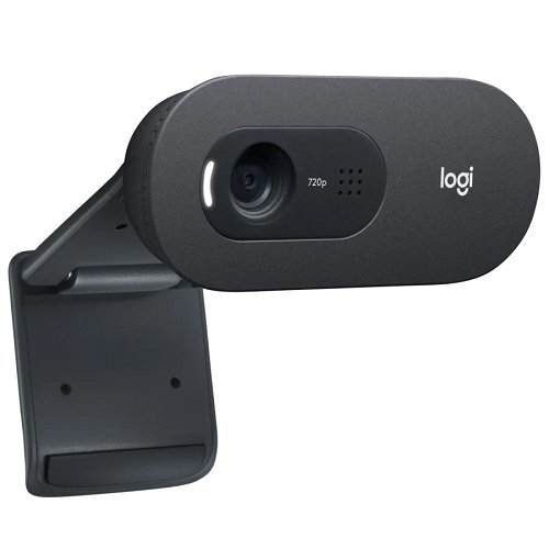 Logitech C505 960-001364 Mikrofonlu 720P HD Webcam
