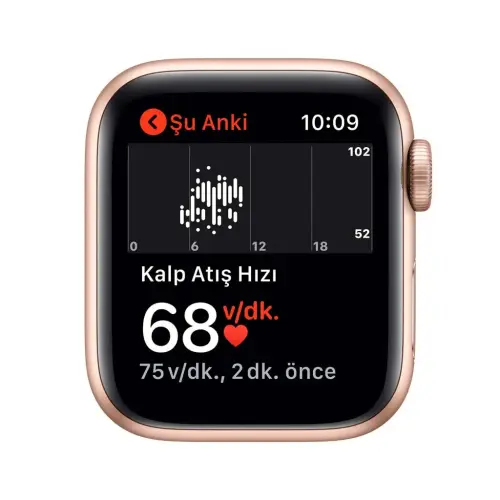 Apple Watch SE 40mm GPS Gold Alüminyum Kasa ve Kum Pembesi Spor Kordon MYDN2TU/A