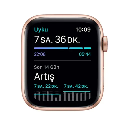 Apple Watch SE 44mm GPS Gold Alüminyum Kasa ve Kum Pembesi Spor Kordon MYDR2TU/A