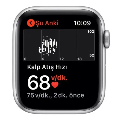 Apple Watch Series 5 GPS 44 mm MWVD2TU/A Gümüş Rengi Alüminyum Kasa ve Spor Kordon Akıllı Saat