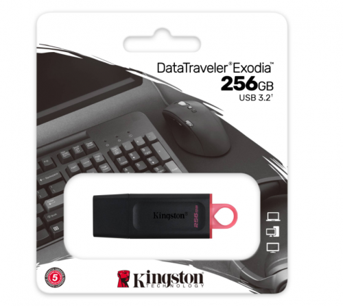 Kingston Data Traveler Exodia DTX/256GB 256GB USB 3.2 Gen 1 Flash Bellek