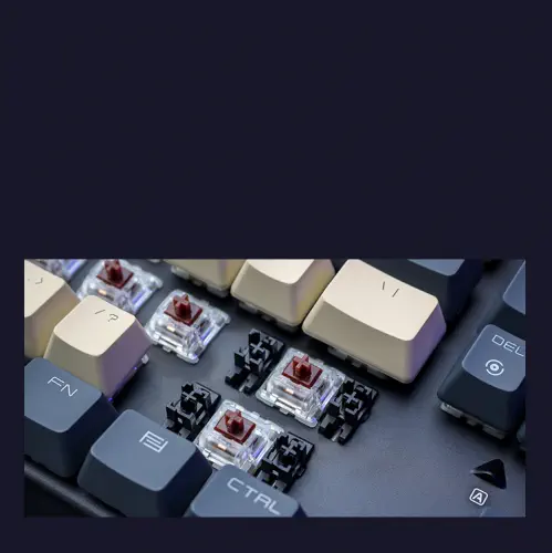 James Donkey 619RS RGB Aydınlatmalı Brown Switch İng Q USB Gaming 87 Tuş Mekanik Klavye