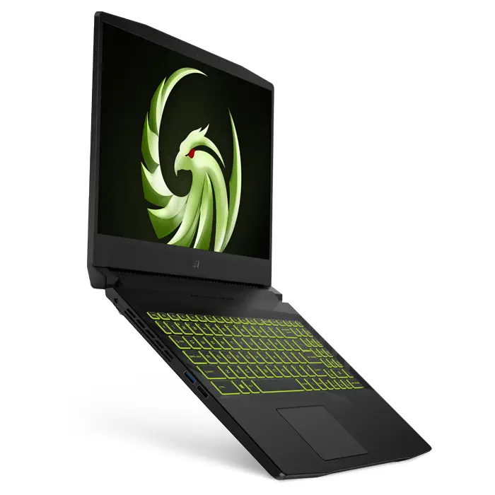 MSI Alpha 15 B5EEK-007XTR Ryzen 7 5800H 16GB 1TB SSD 8GB Radeon RX 6600M 15.6″ Full HD FreeDOS Gaming (Oyuncu) Notebook