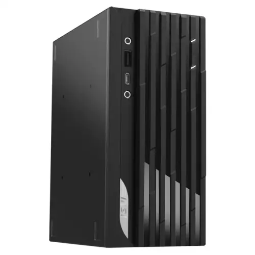 MSI Pro DP20Z 5M-016XTR Ryzen 3 5300G 8GB 256GB SSD FreeDOS Siyah Mini PC
