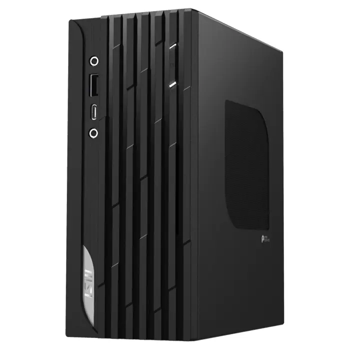 MSI Pro DP20Z 5M-014TR Ryzen 5 5600G 8GB 256GB SSD Win10 Pro Siyah Mini PC