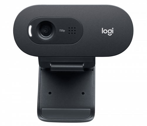 Logitech C505E 960-001372 V-U0018 Mikrofonlu HD Webcam