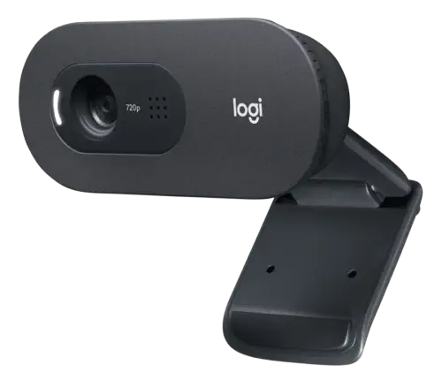 Logitech C505E 960-001372 Mikrofonlu HD Webcam