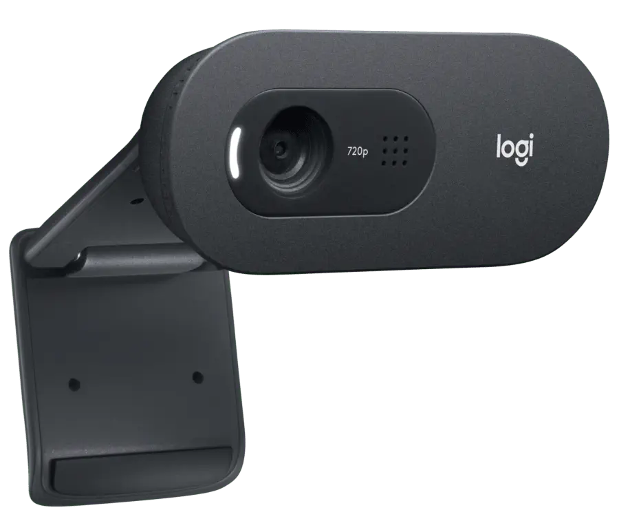 Logitech C505E 960-001372 Mikrofonlu HD Webcam
