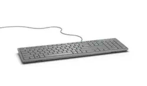 Dell KB216 580-ADHR USB Kablolu İngilizce Q Gri Klavye 