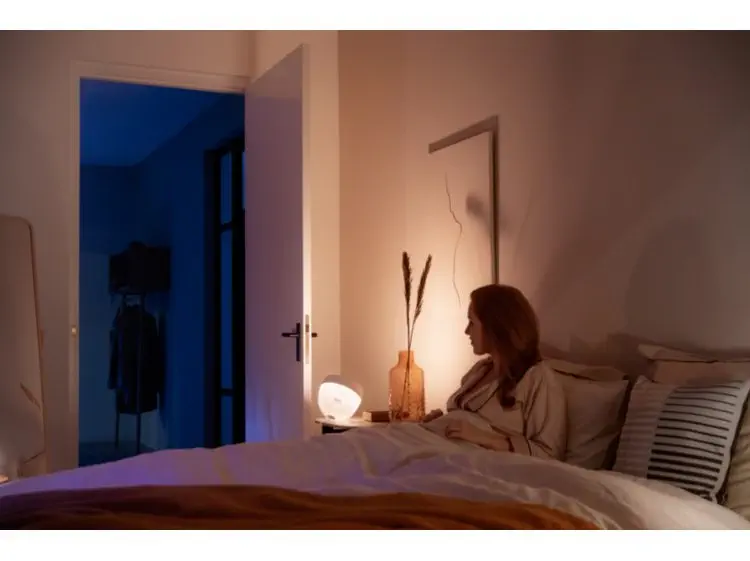 Philips Hue Iris - Beyaz 929002376101
