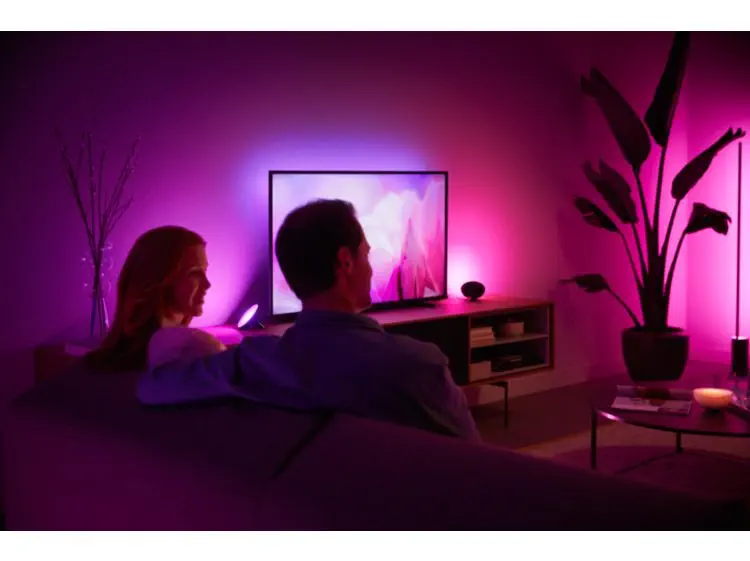 Philips Hue Bloom V4 Siyah - 929002376001