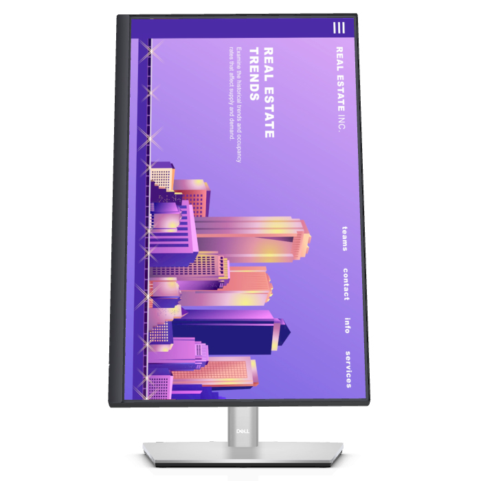 Dell P2222H 21.5″ 5ms 60Hz IPS Full HD Monitör