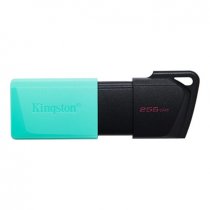 Kingston DataTraveler Exodia M DTXM/256GB 256GB USB 3.2 Gen 1 Flash Bellek