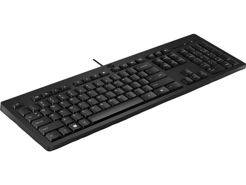 HP 125 266C9AA Kablolu Türkçe Q Klavye
