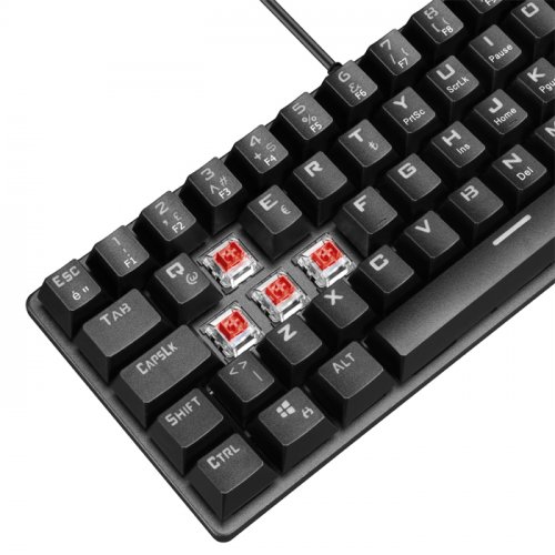 Rampage Plower K60 Siyah Red Switch Rainbow TR Q Mekanik Kablolu Mini Gaming (Oyuncu) Klavye