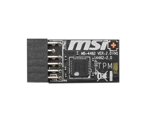 MSI TPM 2.0 Modülü (SPI)