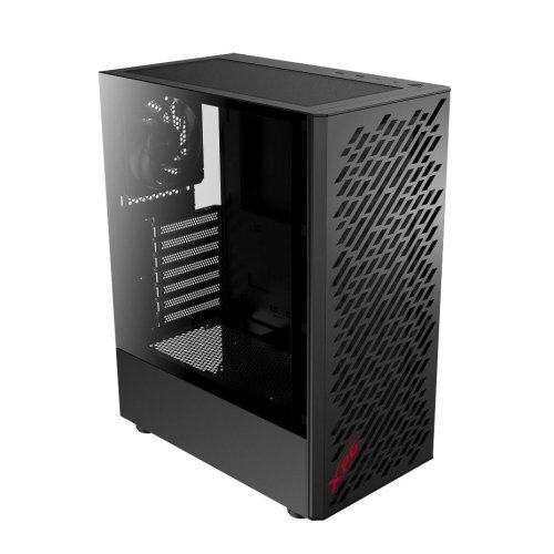 Dynamic XT 