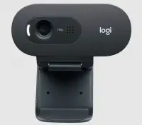 Logitech C505e 960-001372 HD Siyah Webcam V-U0018