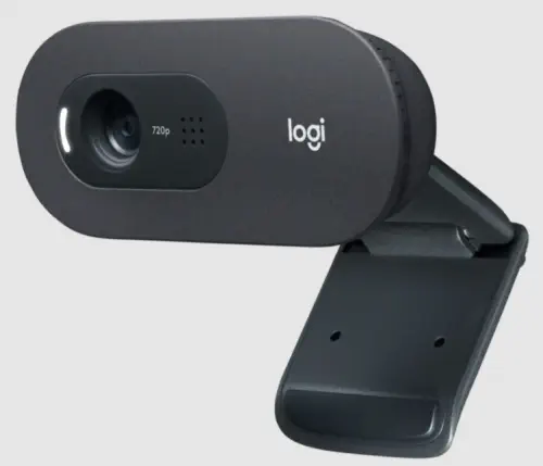 Logitech C505e 960-001372 HD Siyah Webcam V-U0018