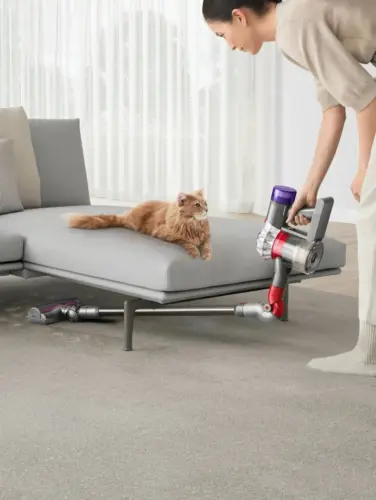 Dyson V8 Absolute Şarjlı Kablosuz Süpürge