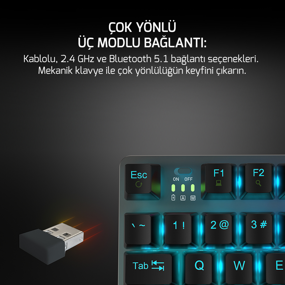 GamePower Eva 7 60M Mekanik Kablolu, 2.4Ghz, Bluetooth 3 Mod Blue Switch Türkçe Q 88 Tuş USB RGB Gaming Klavye - 3 Yıl Garantili