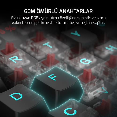 GamePower Eva 7 60M Mekanik Kablolu, 2.4Ghz, Bluetooth 3 Mod Blue Switch Türkçe Q 88 Tuş USB RGB Gaming Klavye - 3 Yıl Garantili