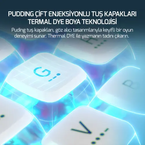 GamePower Gasket Pro X RGB Wireless/Bluetooth/Kablolu Mekanik Hot-Swap Yağlı Switch Gasket Gaming Klavye