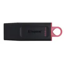 Kingston Data Traveler Exodia DTX/256GB 256GB USB 3.2 Gen 1 Flash Bellek