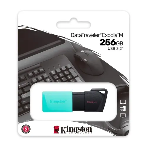 Kingston DataTraveler Exodia M DTXM/256GB 256GB USB 3.2 Gen 1 Flash Bellek