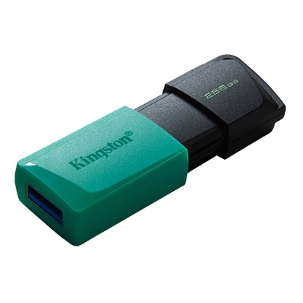 Kingston DataTraveler Exodia M DTXM/256GB 256GB USB 3.2 Gen 1 Flash Bellek