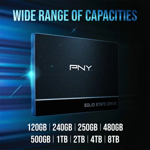 PNY CS900 500GB 550/500MB/s 2,5″ SATA3 SSD Disk (SSD7CS900-500-RB)